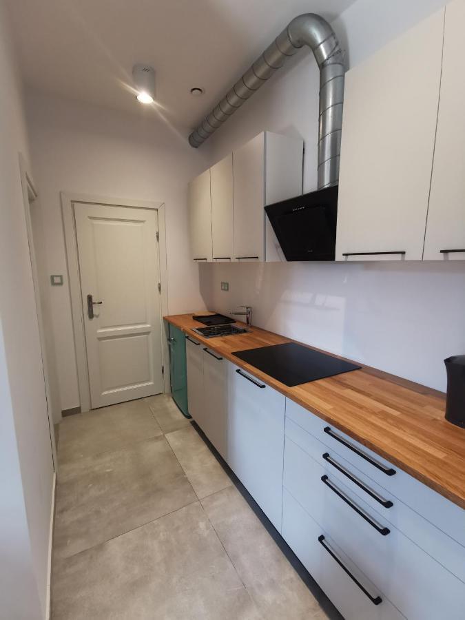 Nowe Apartamenty Zamkowa Vis A Vis Wawelu 크라쿠프 외부 사진
