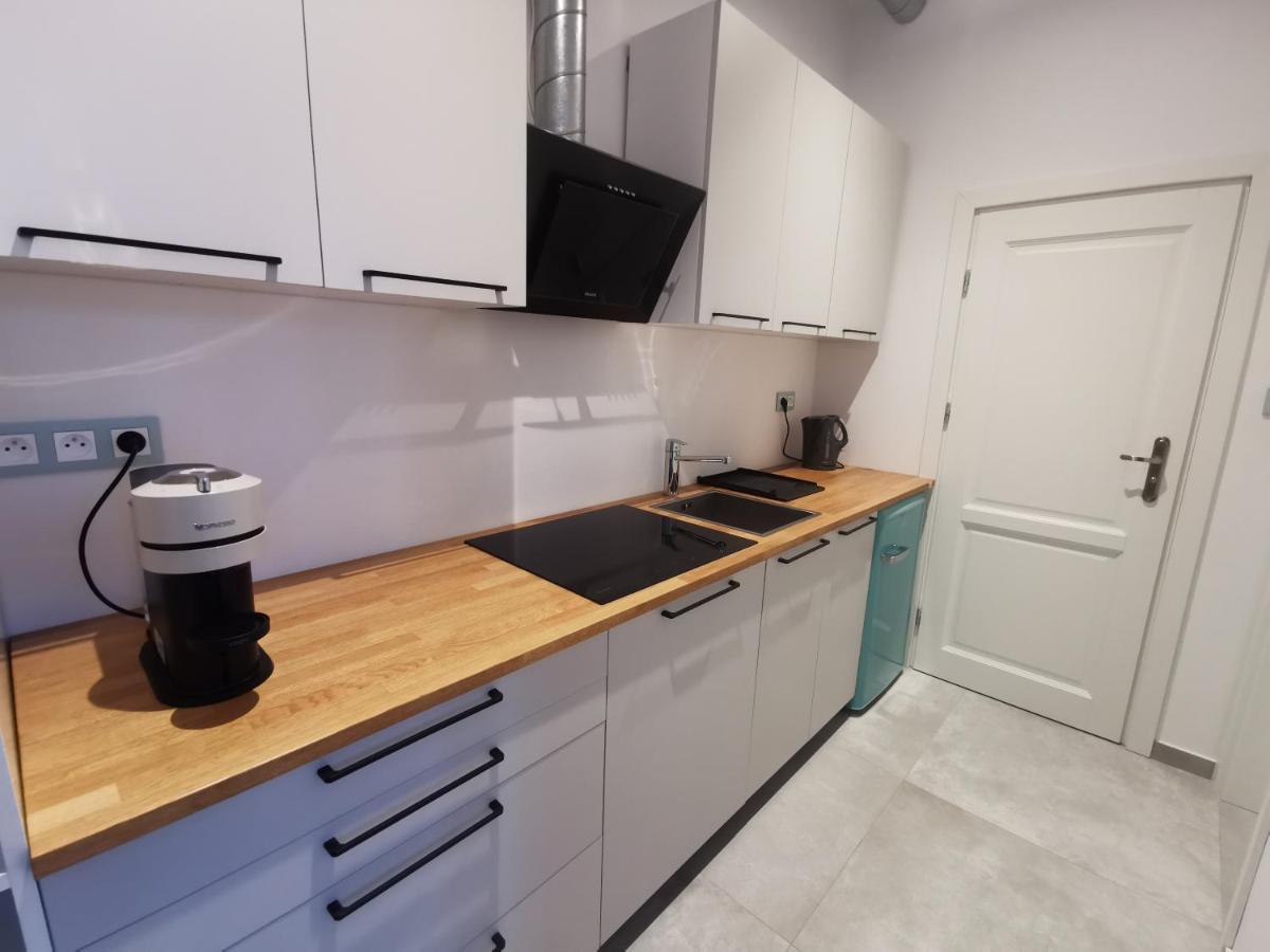 Nowe Apartamenty Zamkowa Vis A Vis Wawelu 크라쿠프 외부 사진