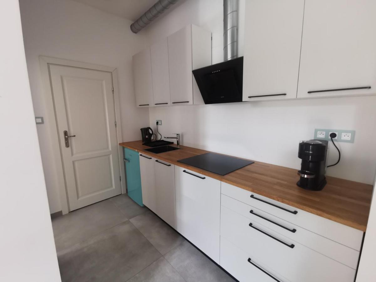 Nowe Apartamenty Zamkowa Vis A Vis Wawelu 크라쿠프 외부 사진